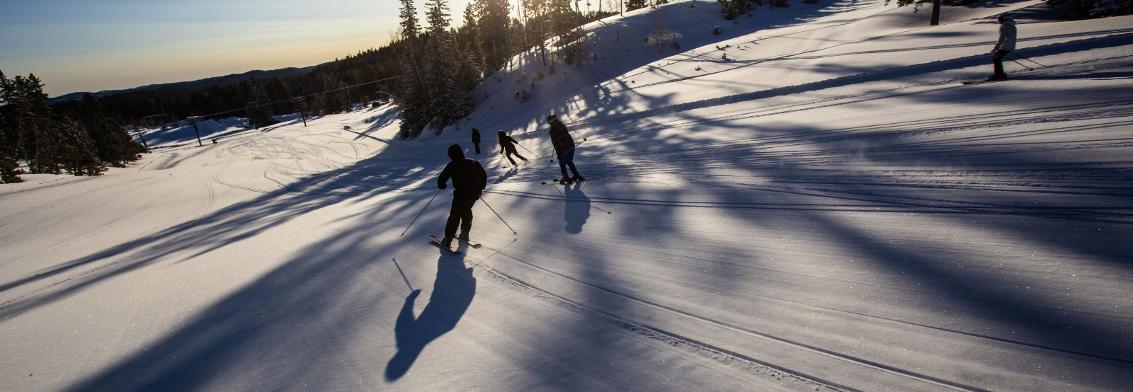 Deer Mountain Snow Skiing Action Photo