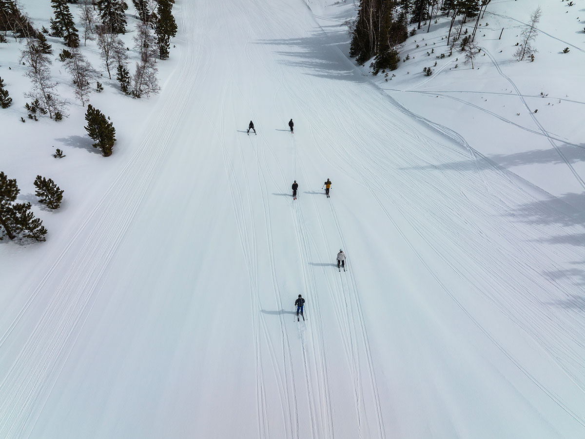 A group of people skiing.