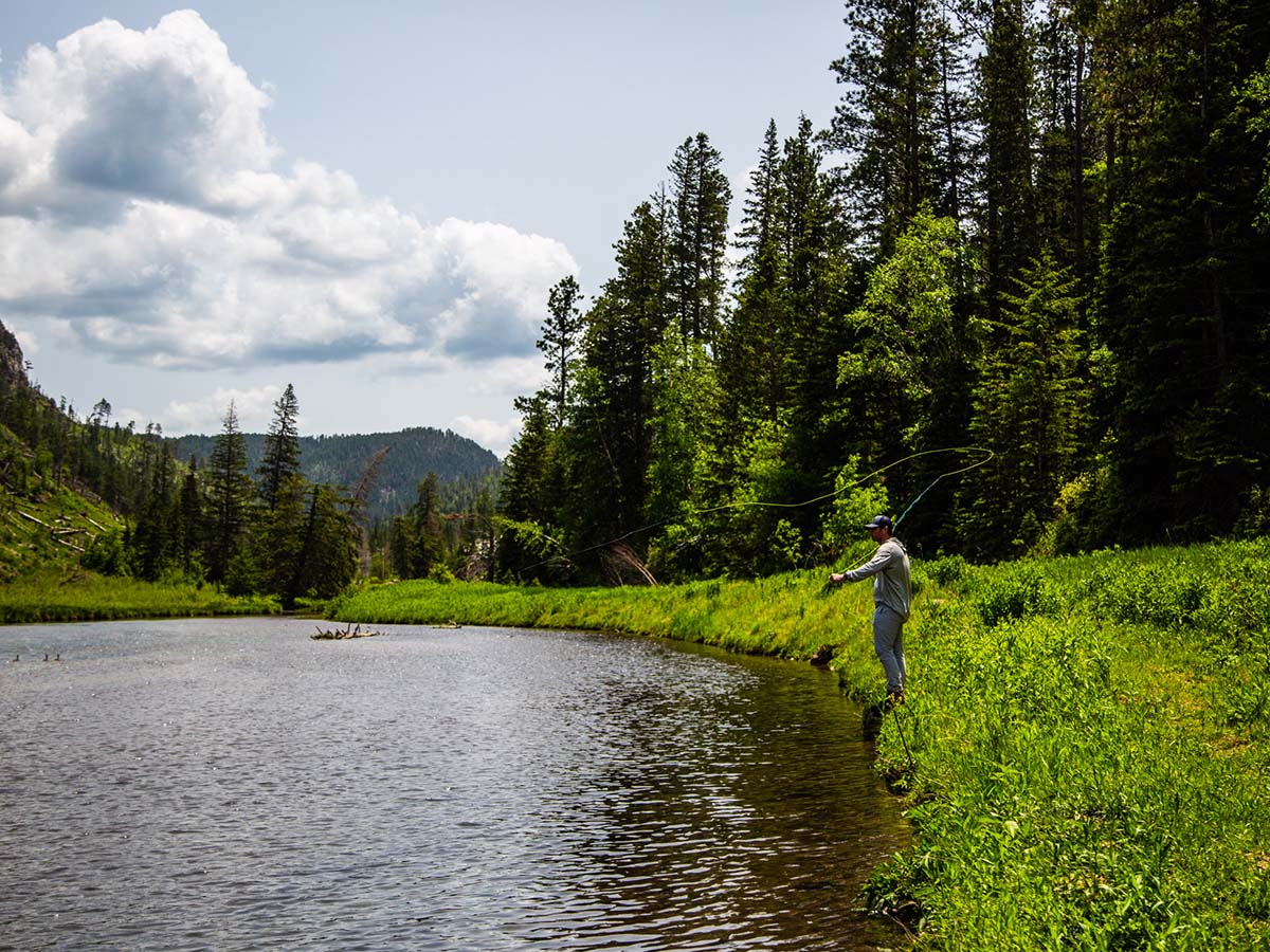 A man fly fishing in the mountains.