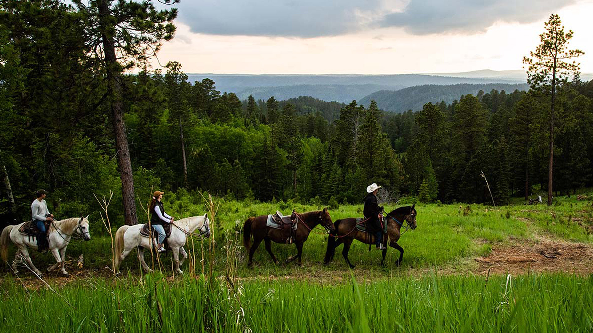 Why You Should Retire in the Black Hills