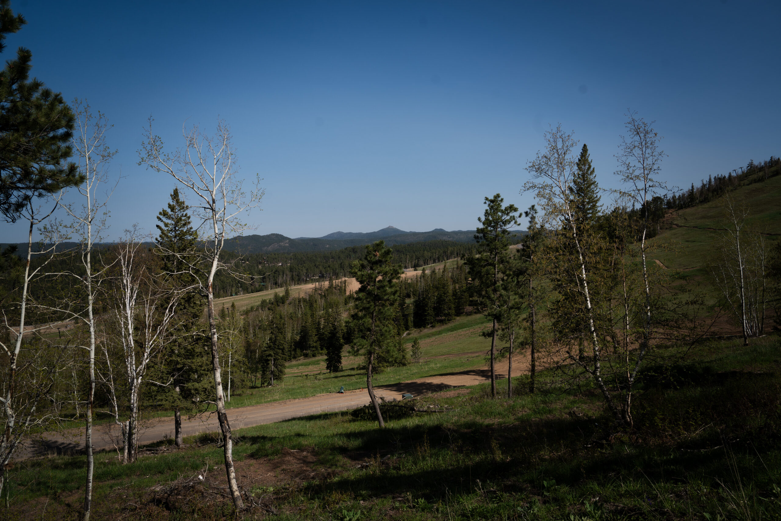 Lot 66