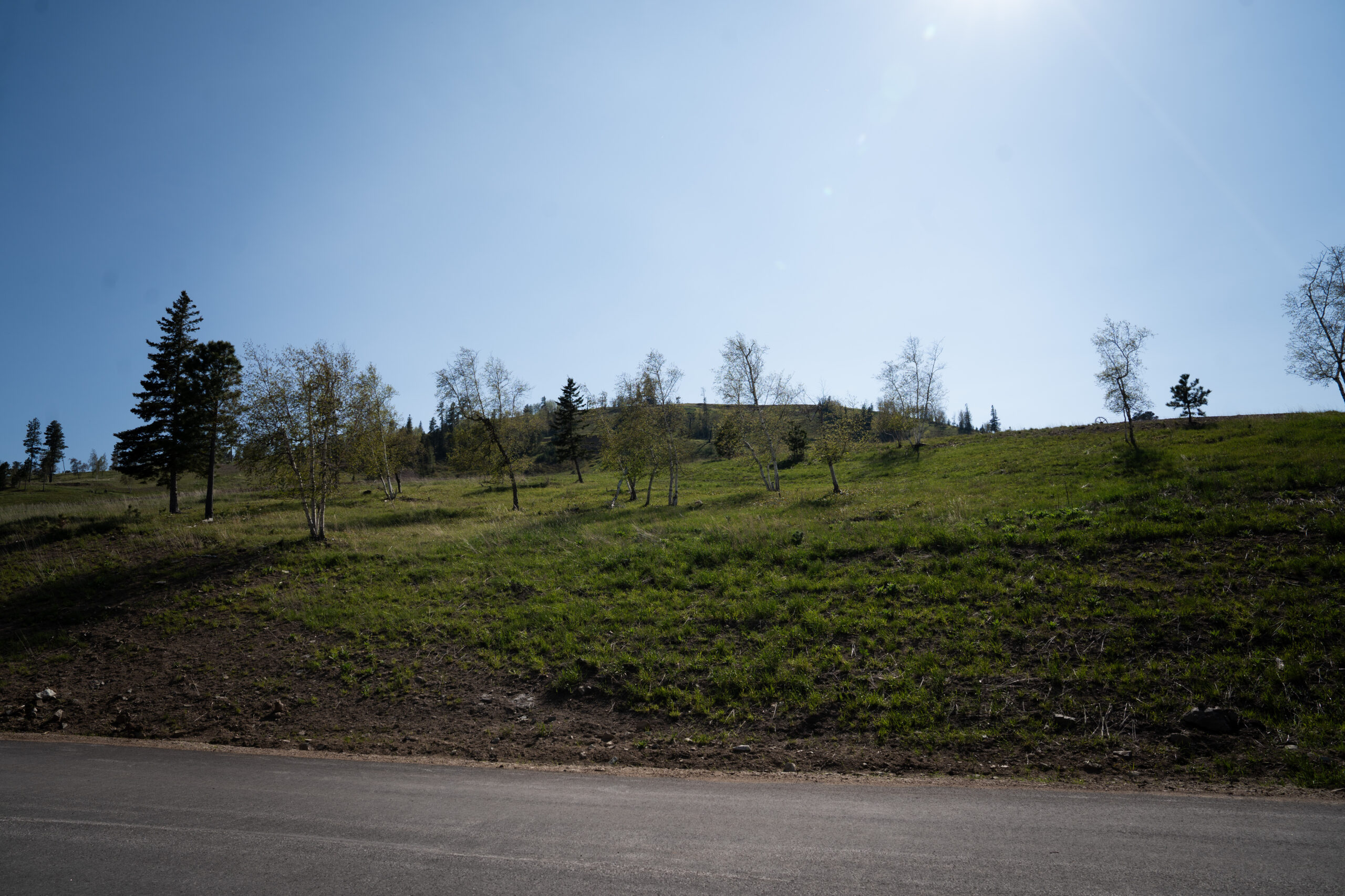 Lot 75