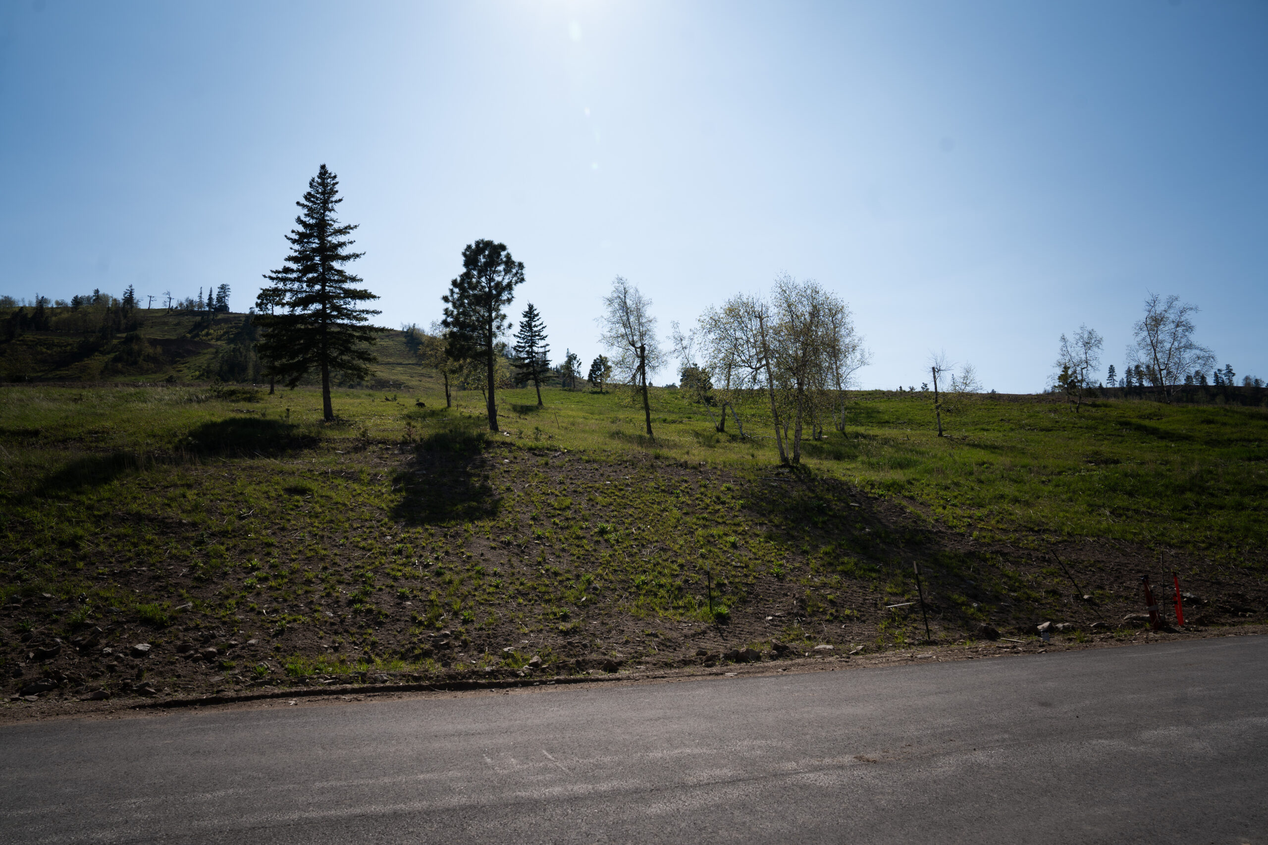 Lot 76