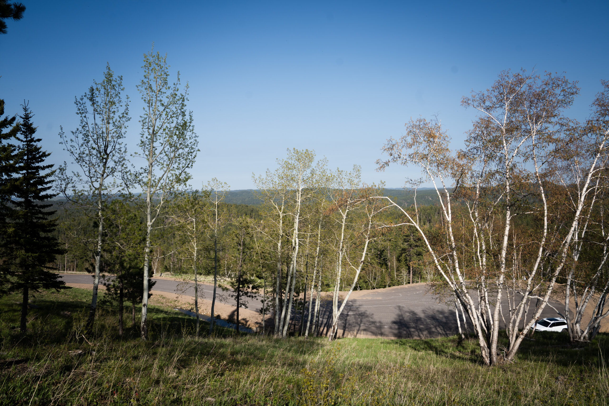 Lot 94