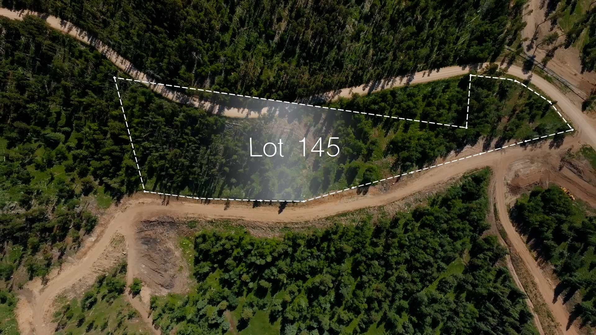 Lot 145
