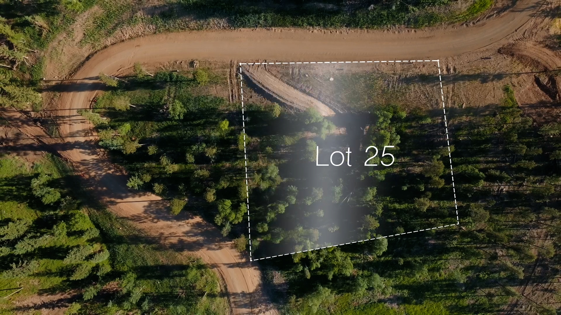Lot 25