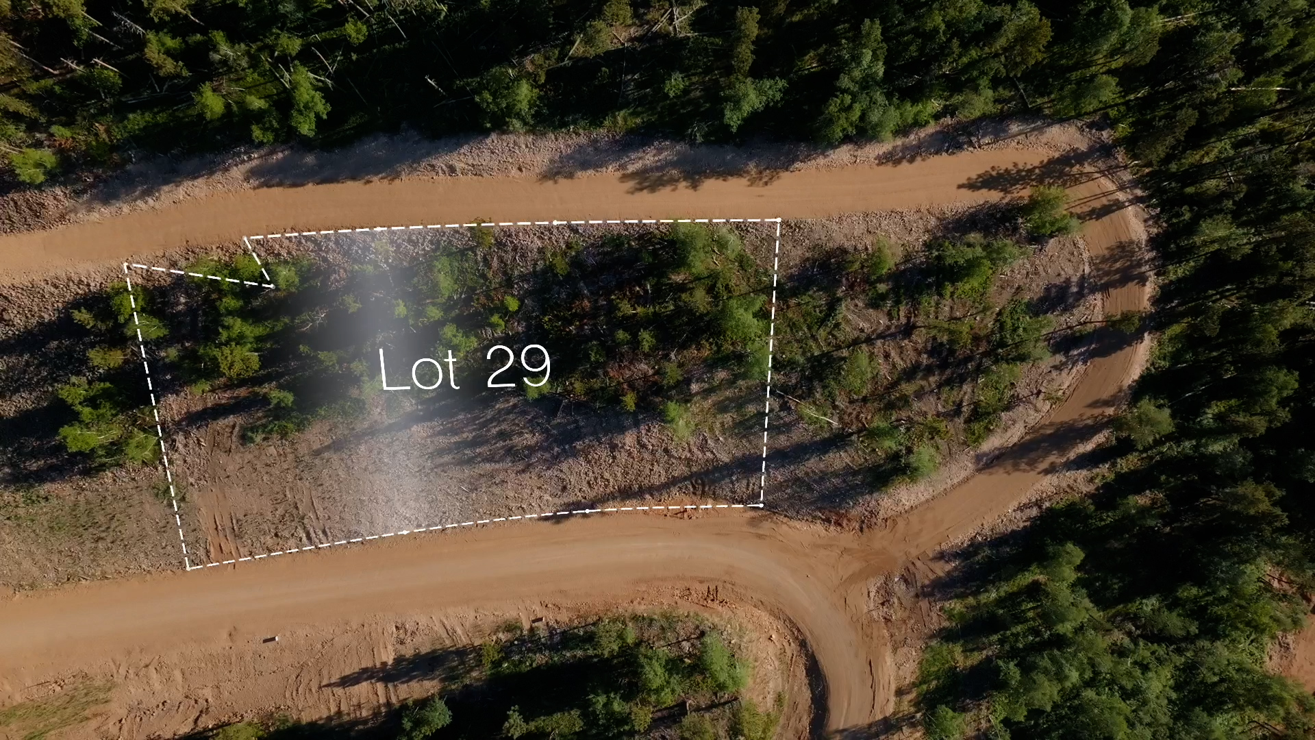 Lot 29