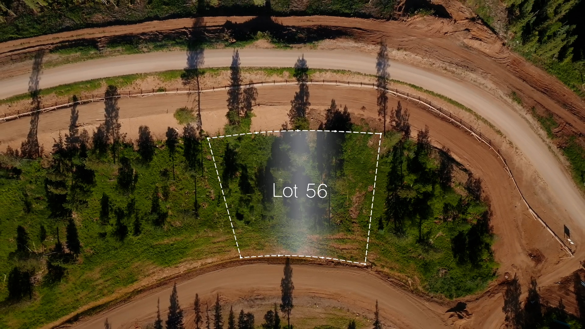 Lot 56