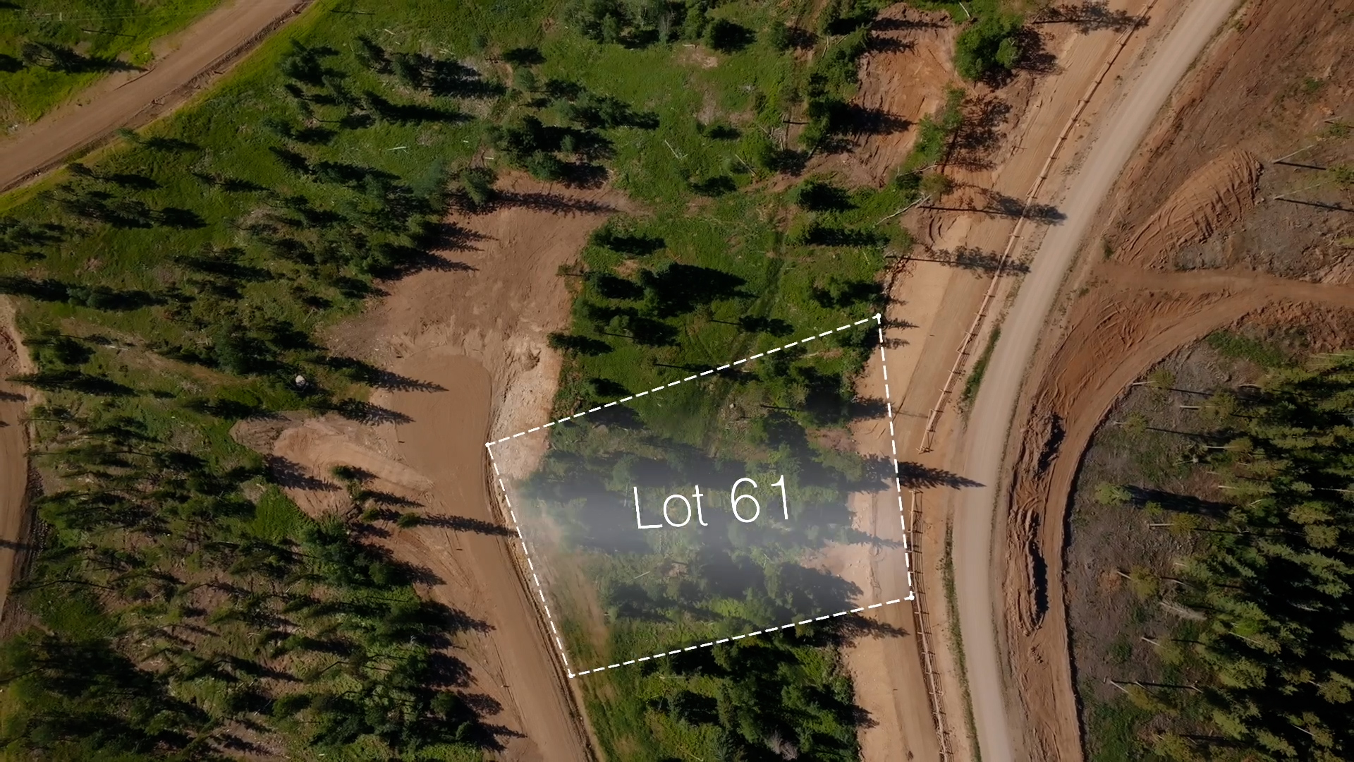 Lot 61
