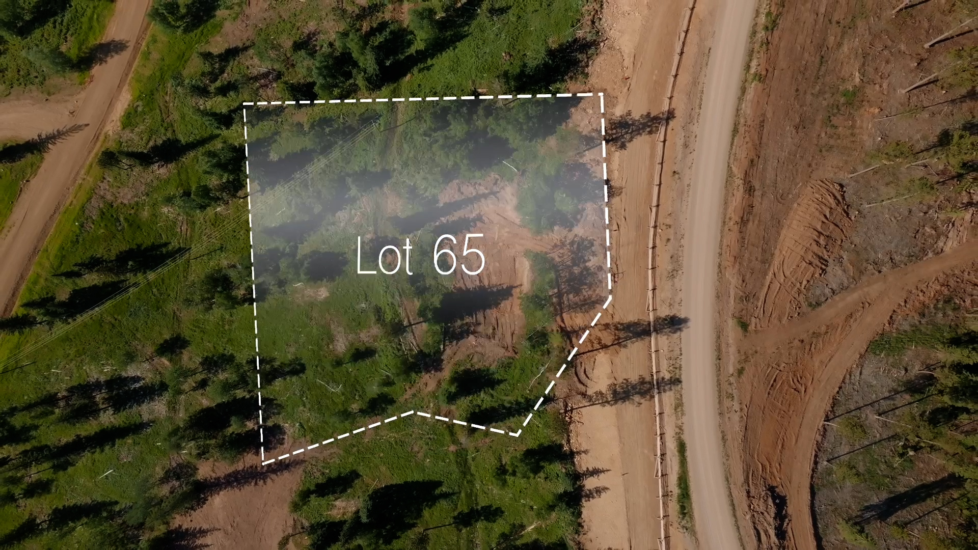 Lot 65